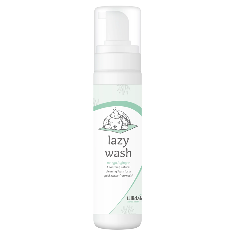 Lillidale Lazy Wash - 200ml