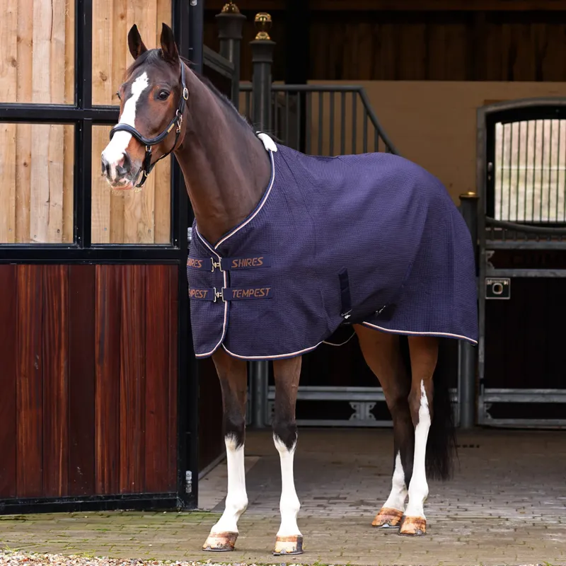 Shires Tempest Original Waffle Rug - Navy