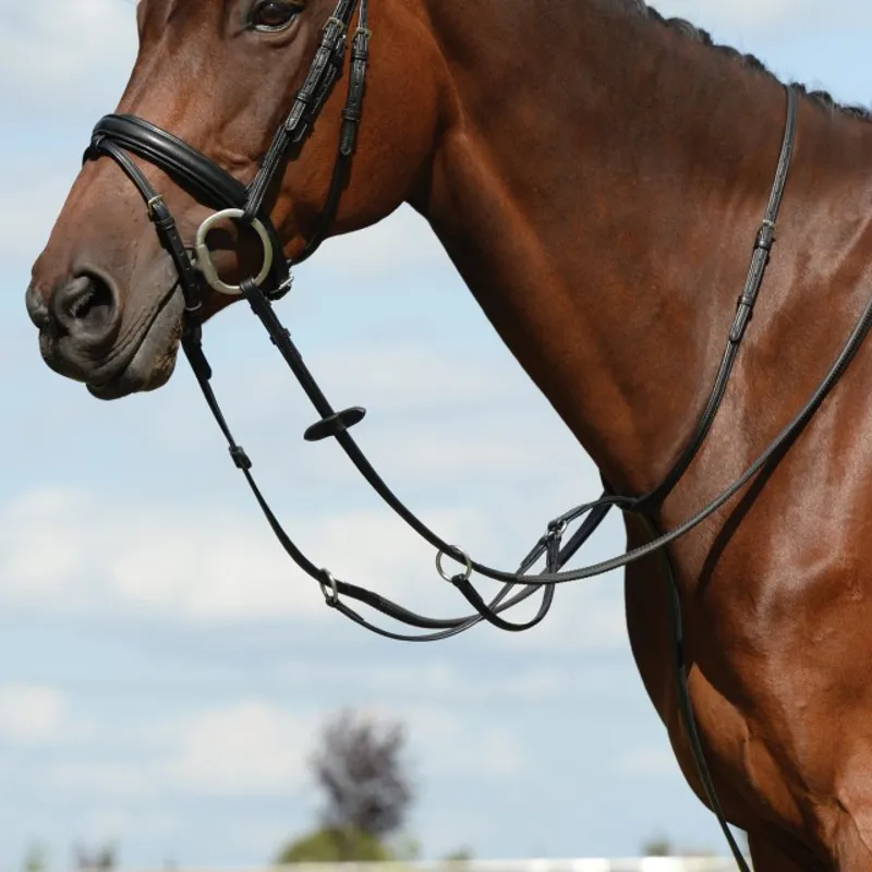 Collegiate Syntovia+ Plain Flat Running Martingale - Black