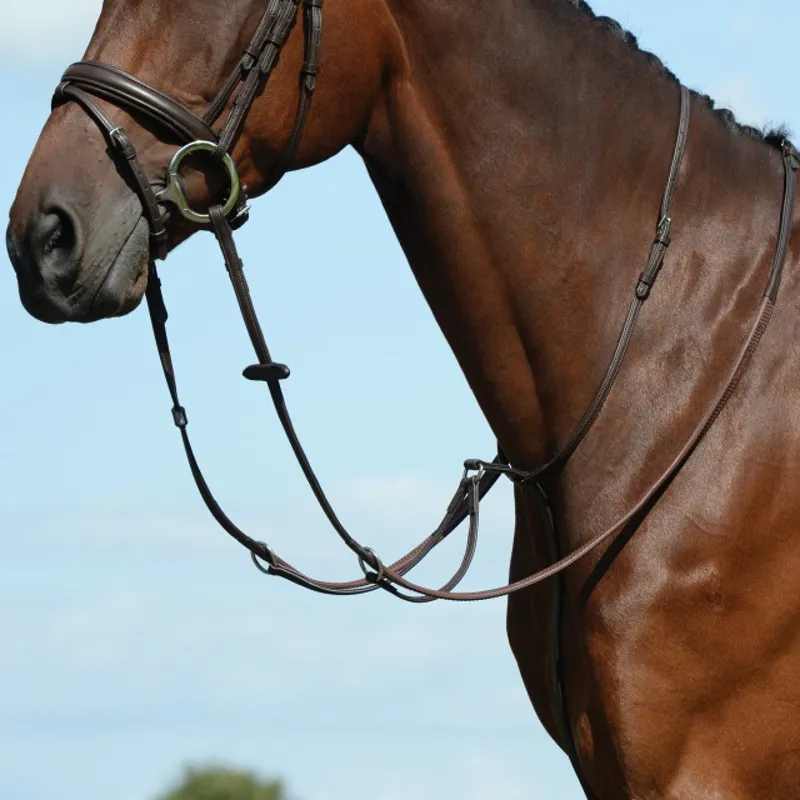 Collegiate Syntovia+ Plain Flat Running Martingale - Brown