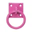 Perry Equestrian Chain Ring On Plate - Pink