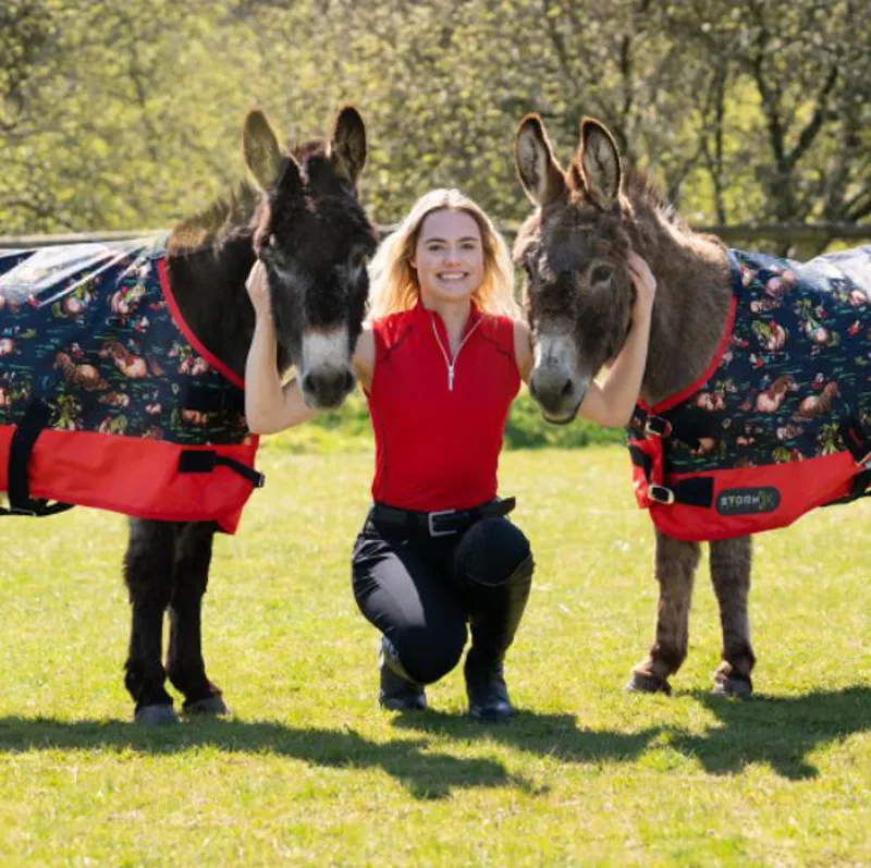 StormX Original 0g Turnout Rug Thelwell Collection - Navy/Red-2