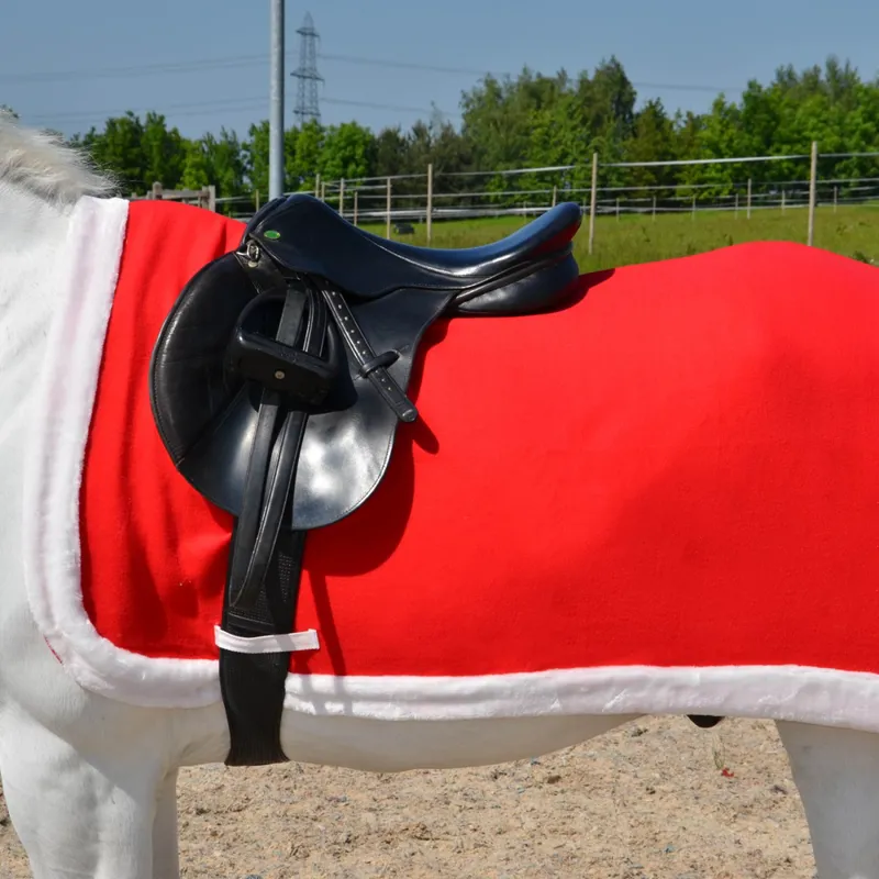 Hy Equestrian Christmas Santa Exercise Sheet - Red/White-1
