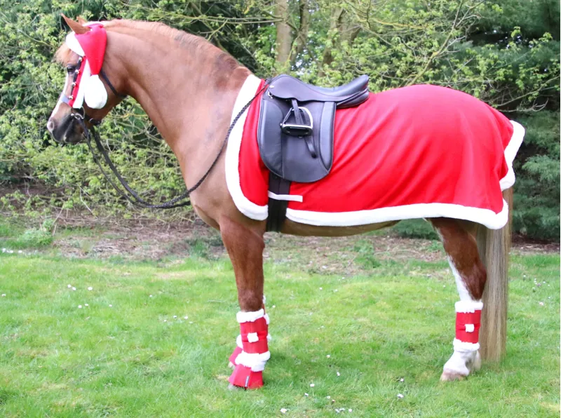 Hy Equestrian Christmas Santa Exercise Sheet - Red/White