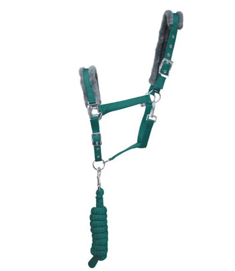 Hy Sport Active Head Collar and Lead Rope - Alpine Green