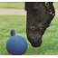 Roma Equine Play Ball - Blue
