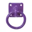 Perry Equestrian Chain Ring On Plate - Purple