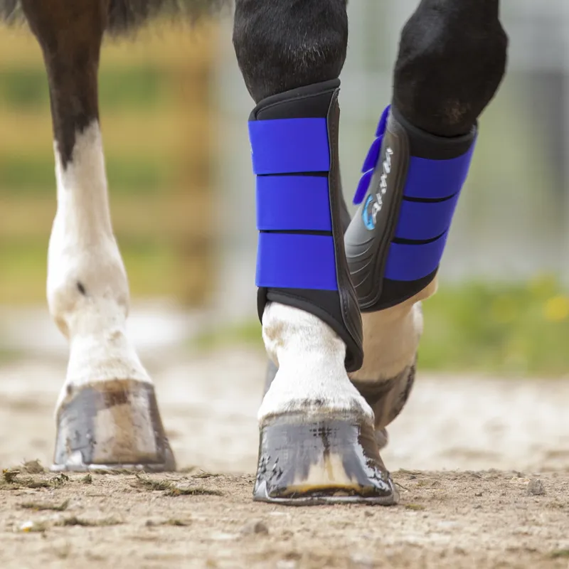 Shires ARMA Neoprene Brushing Boots - Royal Blue - Cob-1