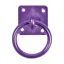 Perry Equestrian Swivel Tie Ring on Plate - Purple