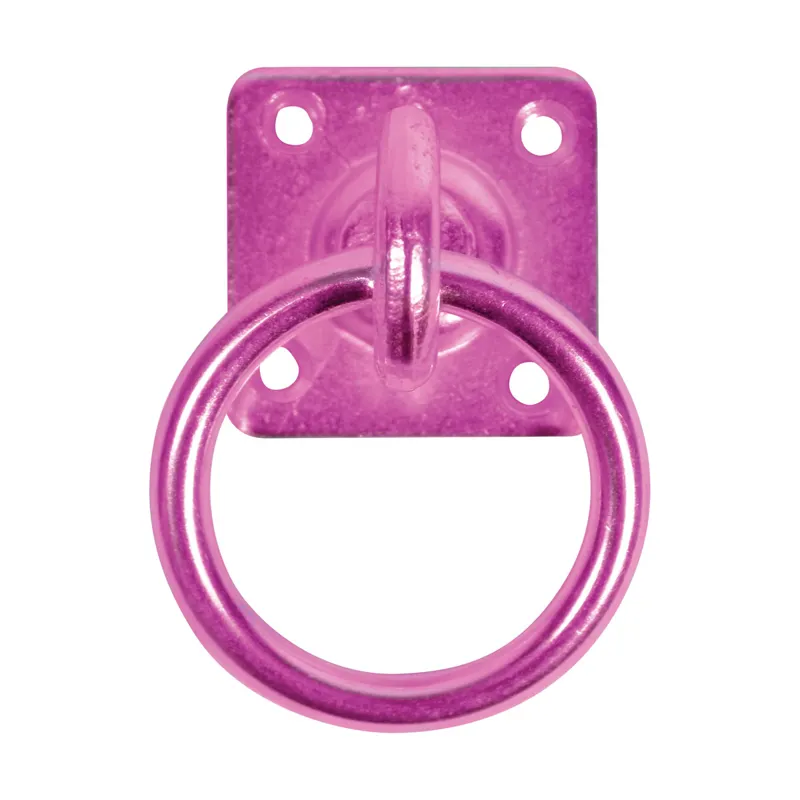 Perry Equestrian Swivel Tie Ring on Plate - Pink
