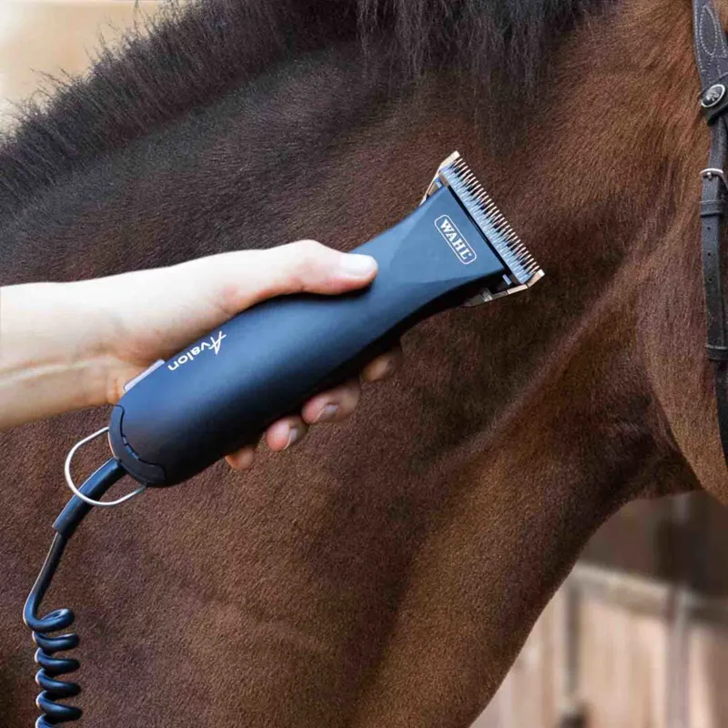 Wahl Avalon Horse Clipper-2