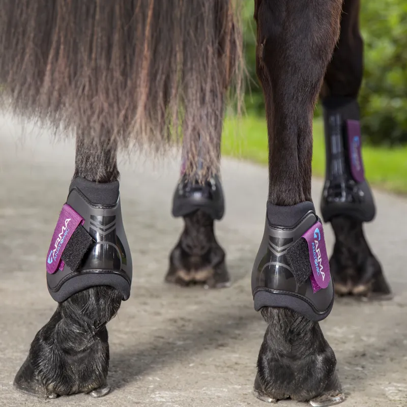Shires ARMA Fetlock Boots - Black/Plum - Cob/Full - Unboxed-1