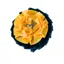 ShowQuest Newport Buttonhole - Navy/Sunshine/Gold