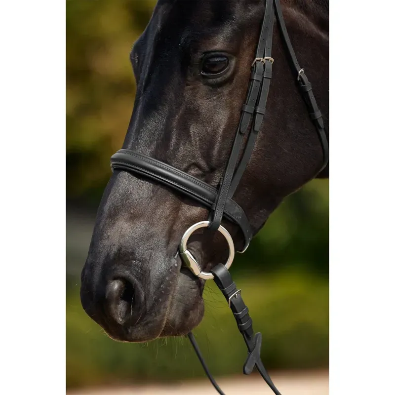 Dublin Padded Cavesson Bridle - Black-1