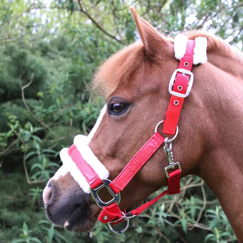 Hy Equestrian Christmas Santa Head Collar - Red Sparkle-1