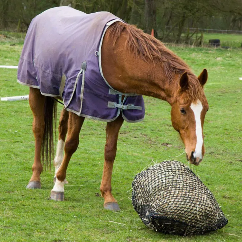 Trickle Net Original-3