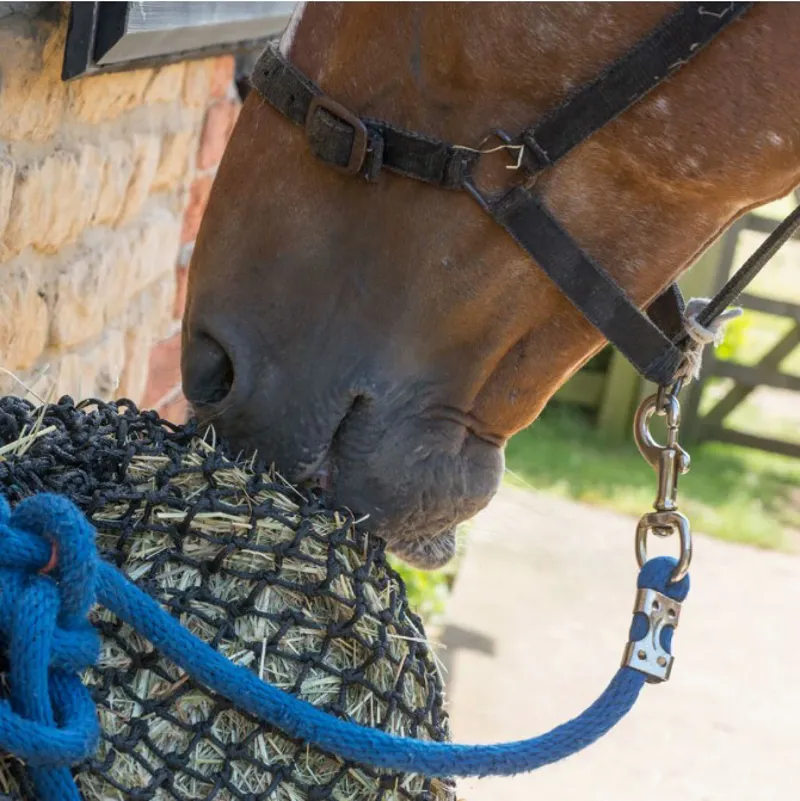 Trickle Net Original-2