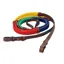 Kincade Rainbow Reins With Hook Studs - Brown/Multi