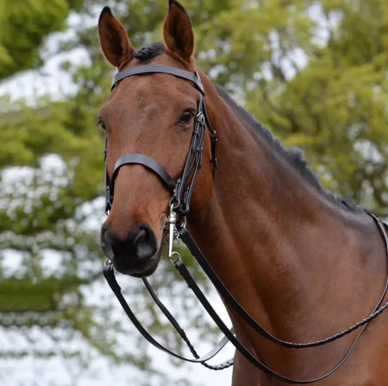 Kincade Show Weymouth Bridle II - Black