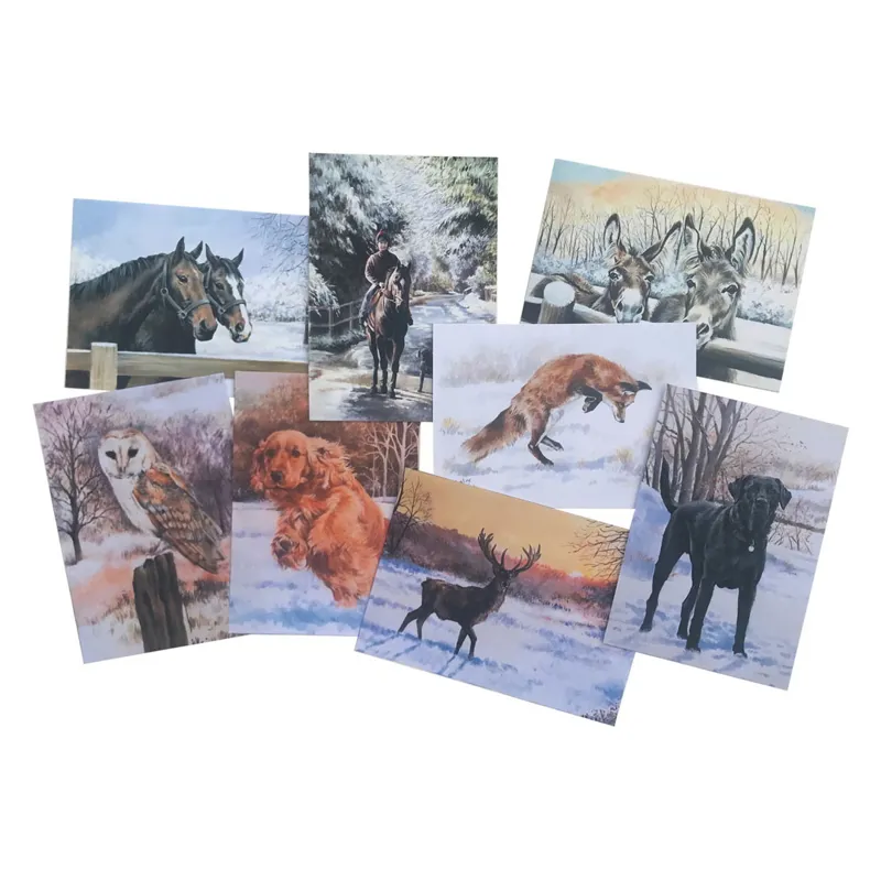 Caroline Cook Winter Collection - Pack of 16