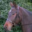 Hy Equestrian Hunter Bridle With Rubber Grip Reins - Brown