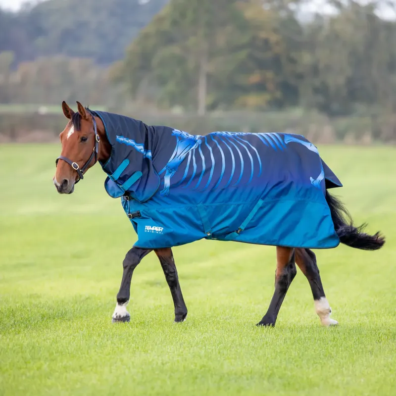 Shires Tempest Original Lite 0g Turnout Combo Rug - Blue Skeleton-5
