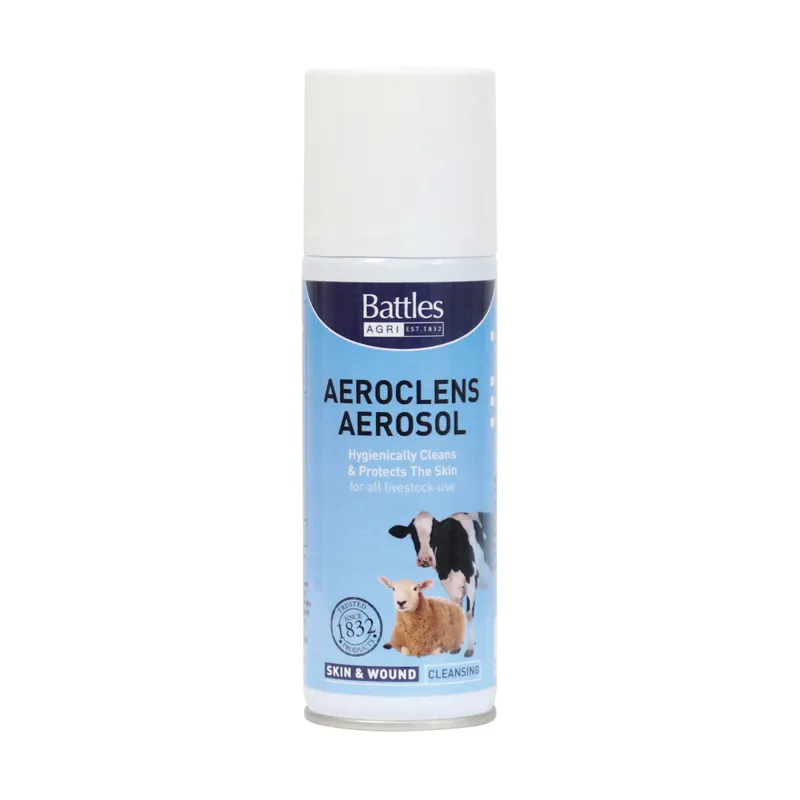 Battles Aeroclens Aerosol - 150g