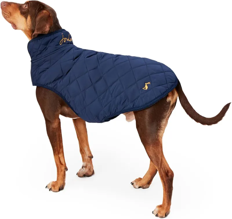 Joules Quilted Dog Coat - Navy-1