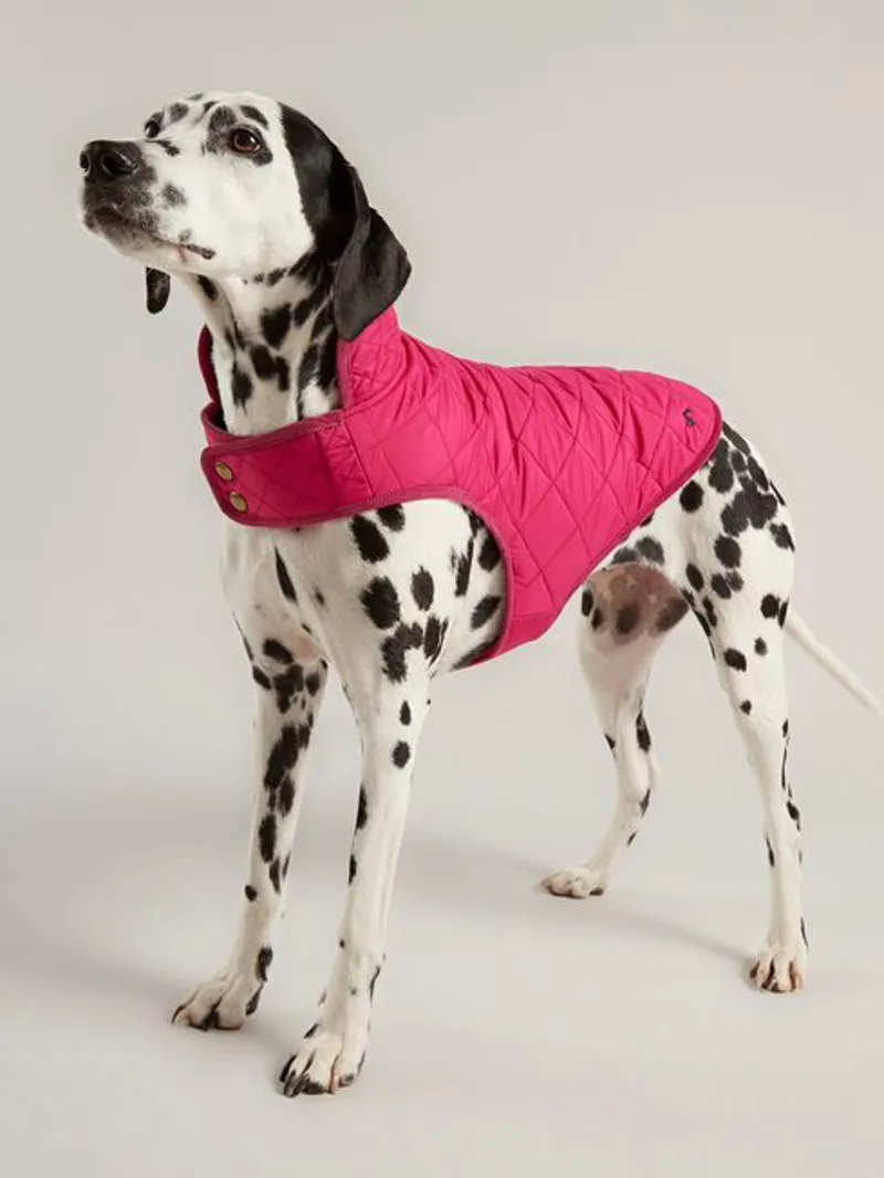 Joules Quilted Dog Coat - Raspberry