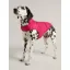 Joules Quilted Dog Coat - Raspberry