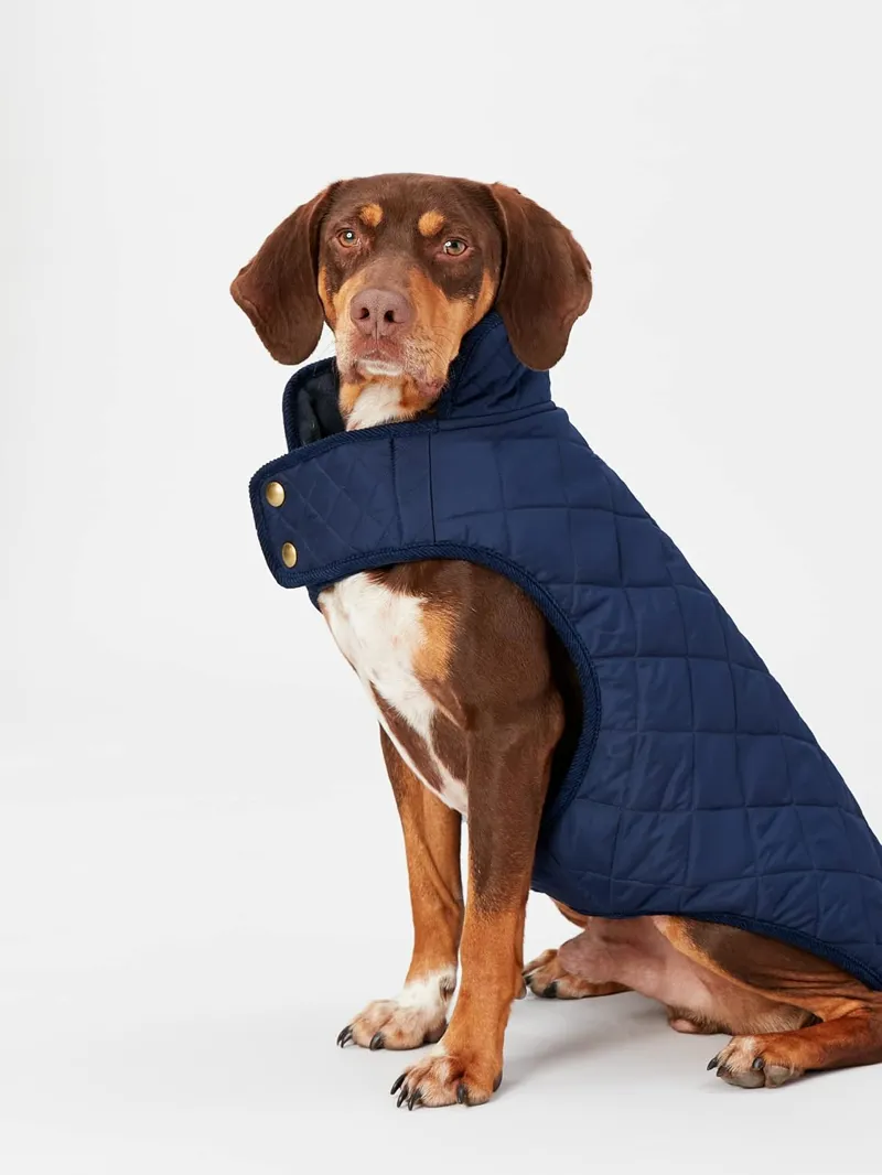 Joules Quilted Dog Coat - Navy