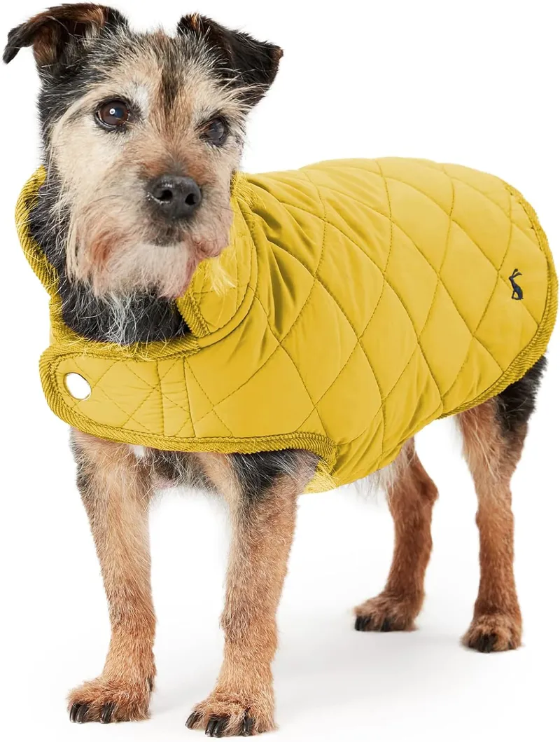 Joules Quilted Dog Coat - Antique Gold