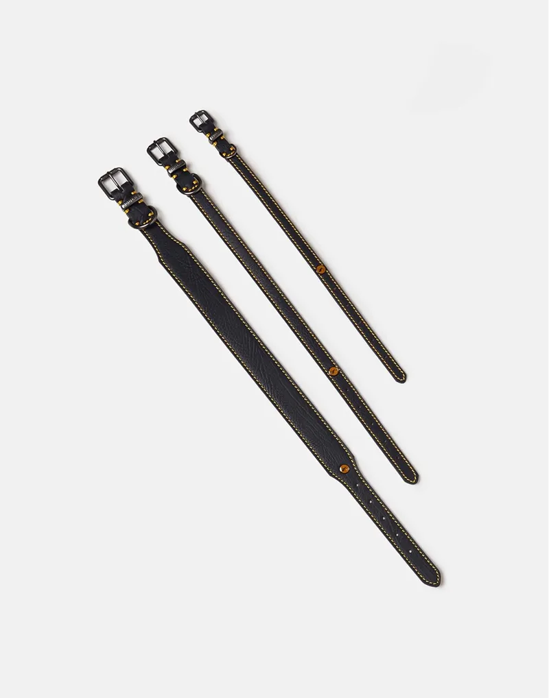 Joules Leather Dog Collar - Navy-2