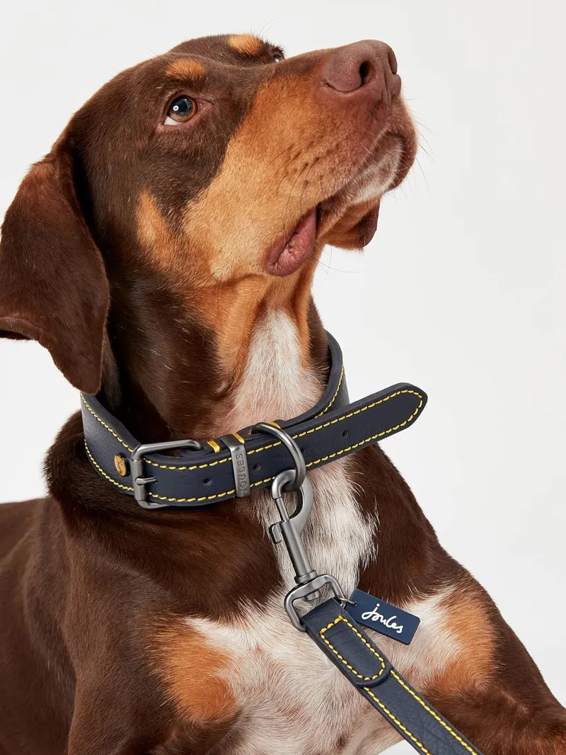 Joules Leather Dog Collar - Navy-3
