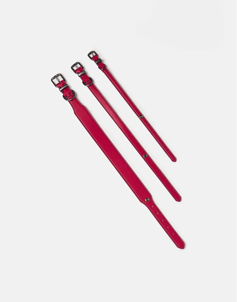 Joules Leather Dog Collar - Pink-2