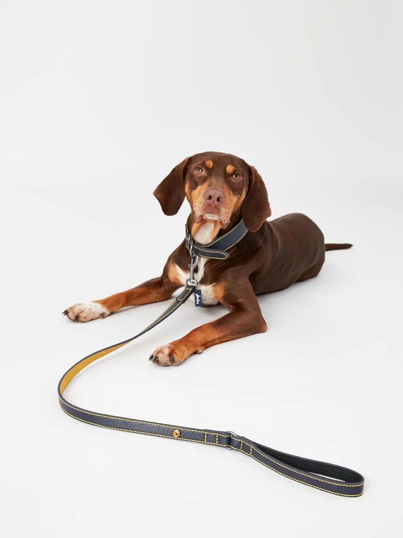 Joules Leather Dog Lead - Navy-1