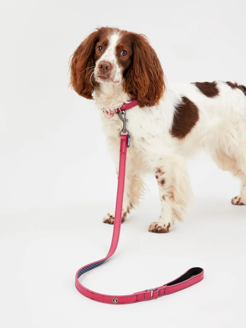 Joules Leather Dog Lead - Pink-1