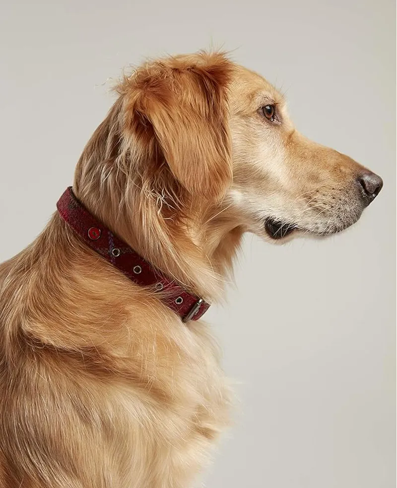 Joules Heritage Tweed Leather Collar - Red-4