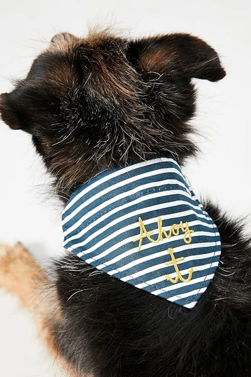 Joules Nautical Collar and Neckerchief - Navy-1