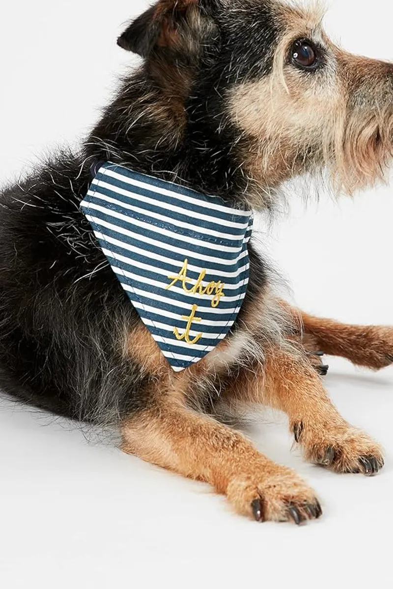 Joules Nautical Collar and Neckerchief - Navy-2