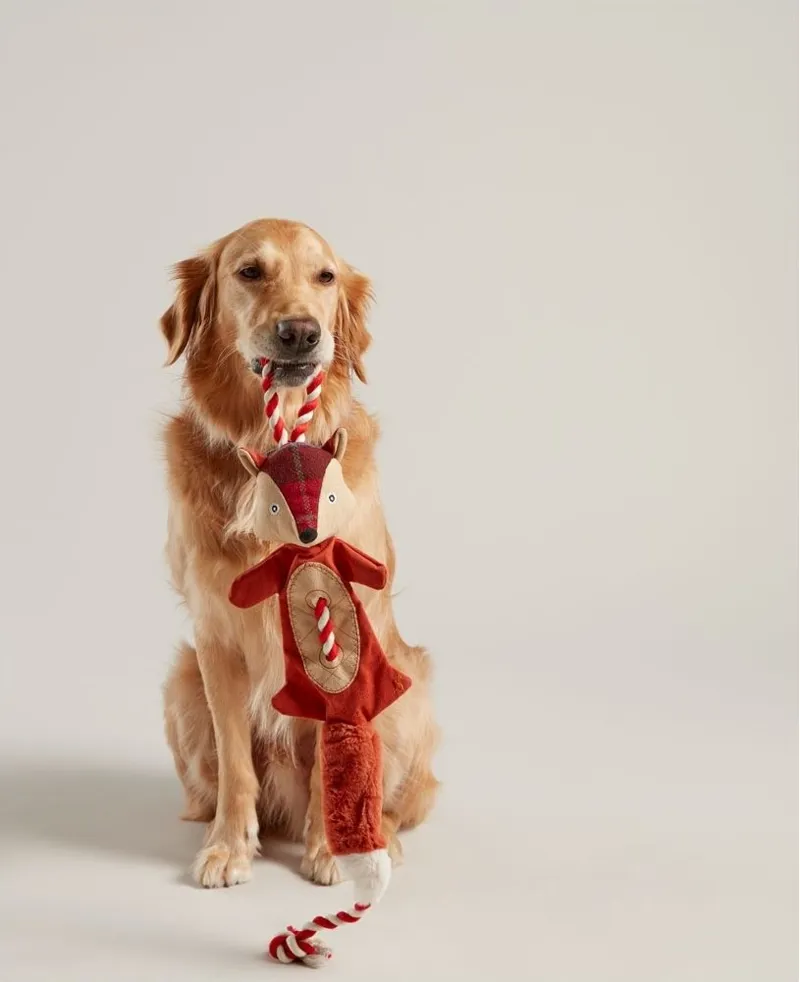 Joules Rope Heritage Tweed Fox - Brown-1