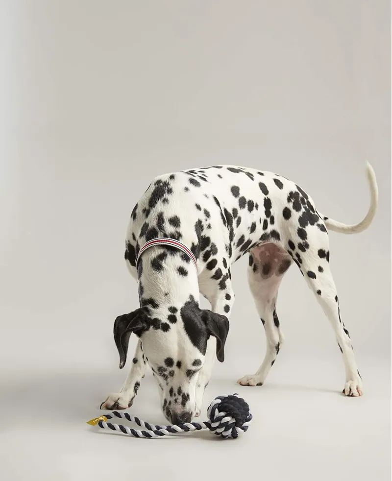 Joules Rubber And Rope Dog Toy - Navy/White-2