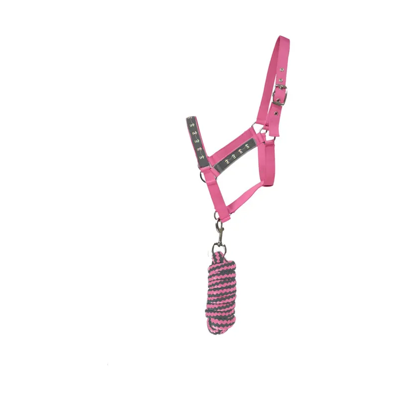 Hy Equestrian Merry Go Round Head Collar and Lead Rope - Grey/Pink