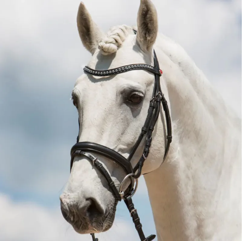 Kieffer Ultrasoft Fashion Snaffle Bridle - Black