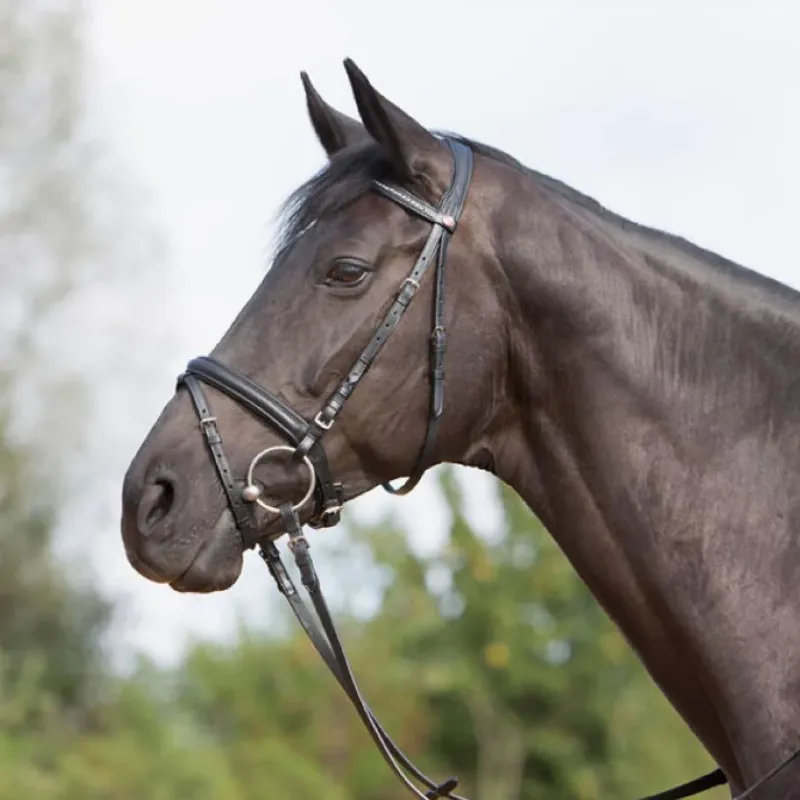 Kieffer Ultrasoft Snaffle Bridle - Brown