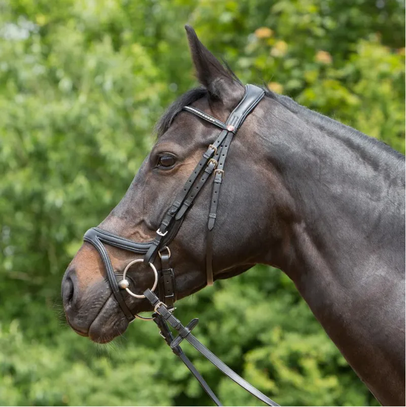 Kieffer Ultrasoft Tara Snaffle Bridle - Black