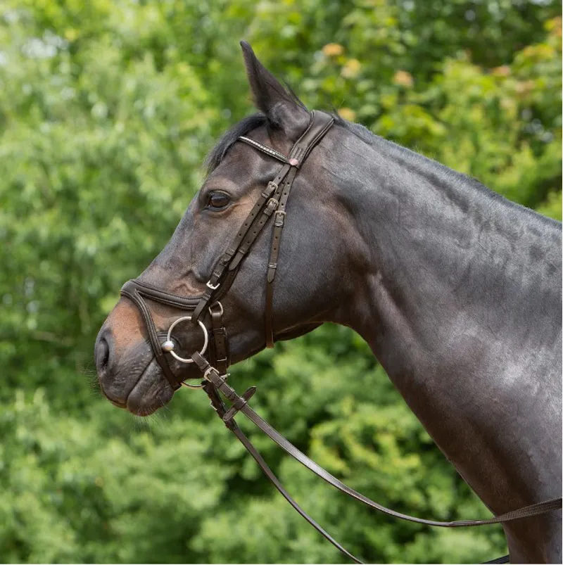 Kieffer Ultrasoft Tara Snaffle Bridle - Brown