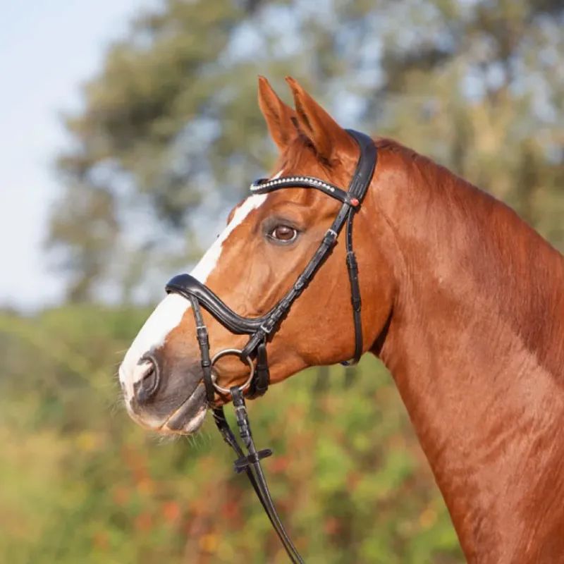 Kieffer Ultrasoft Amy Snaffle Bridle - Black-1