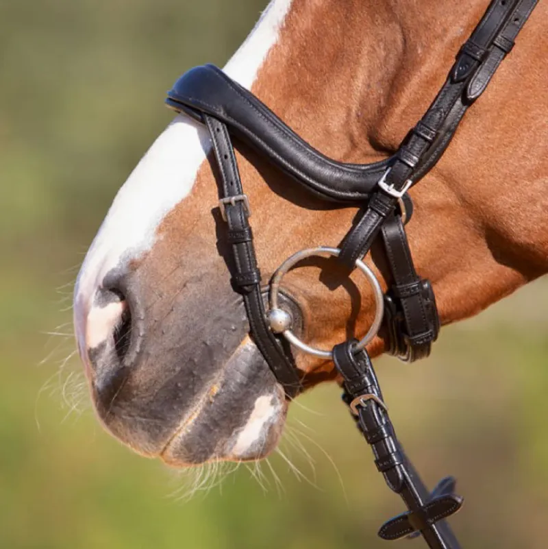 Kieffer Ultrasoft Amy Snaffle Bridle - Black-2