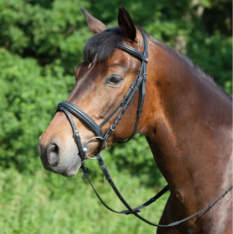 Kieffer Ergonomic Line Snaffle Bridle - Black